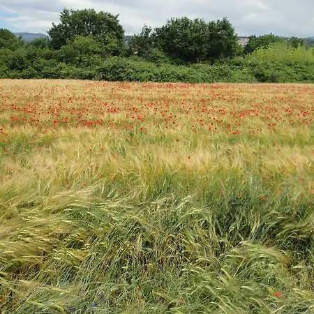 Panzió Les Tourterelles Callian